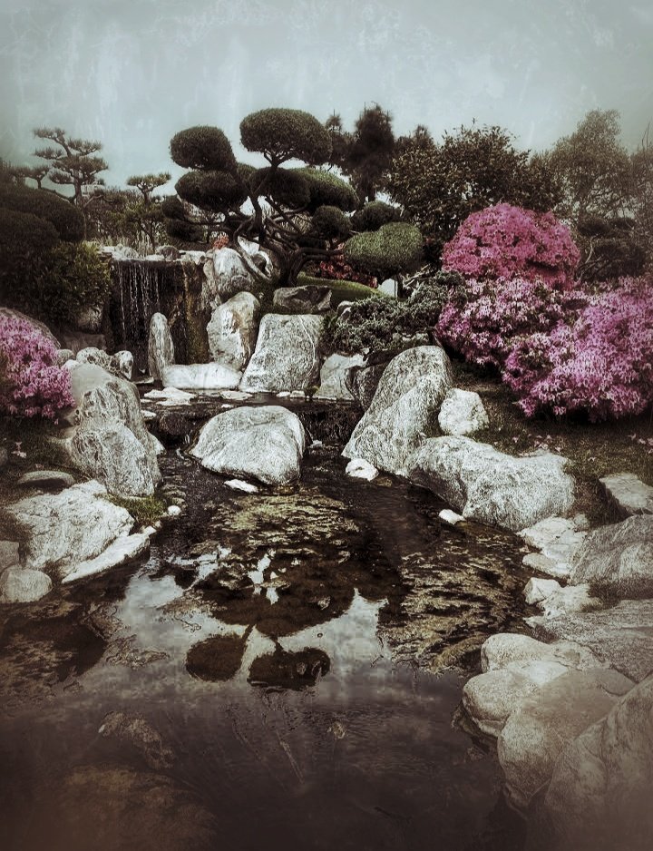 RGrufotografia's tweet photo. Japan Garden

#Plant #Outdoors #Tree #Nature #japangarden #photo #photography #photographer #paisajes #buenosaires #argentina https://t.co/KFqk4riioJ