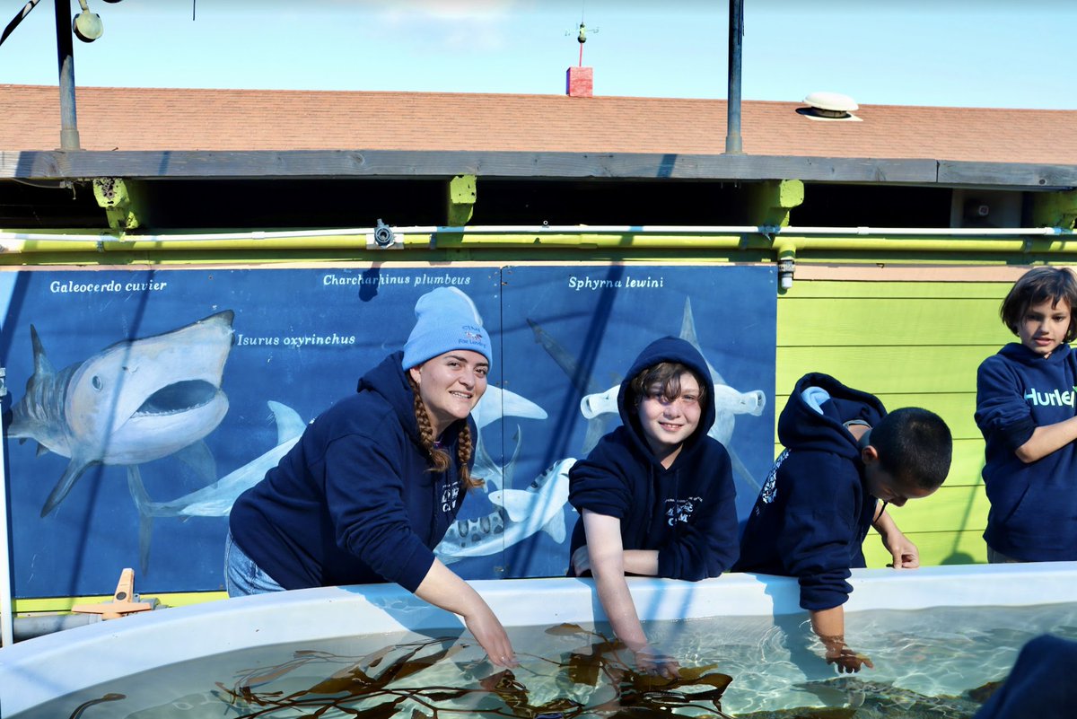 CIMI_Science's tweet photo. There's just some-FIN special about shark lab! 🤓 🦈 😂 #cimiscience #sharks #sharklab #aquariums #marinescience #oceanscience #oceaneducation #outdooreducation #handsonlearning #touchtanks https://t.co/d4F2P7O9Ra