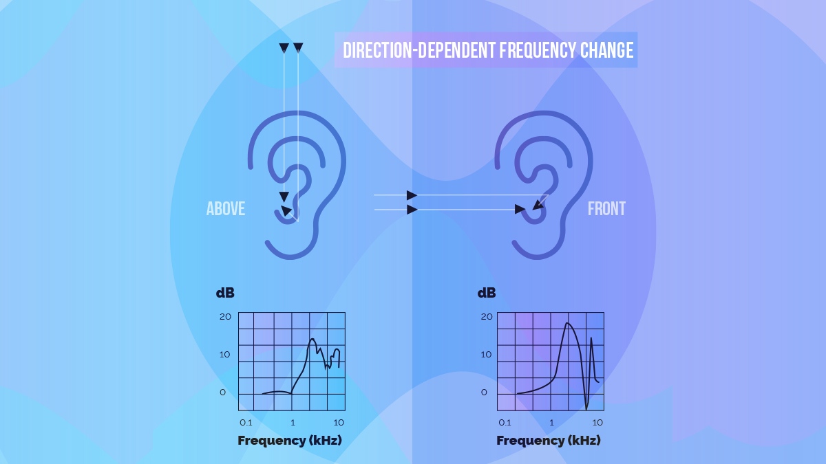 WavesAudioLtd's tweet photo. 👂 After propagating through the air and before arriving at the eardrum, the soundwave undergoes a filtering and delay effect due to the size and shape of our head and ears.
👓 LEARN MORE: https://t.co/WHoFKNh9GX
#WavesAudio #WavesPlugins #3DAudio #SpatialAudio #WavesNx
https://t.co/lpsyBYm1bW
