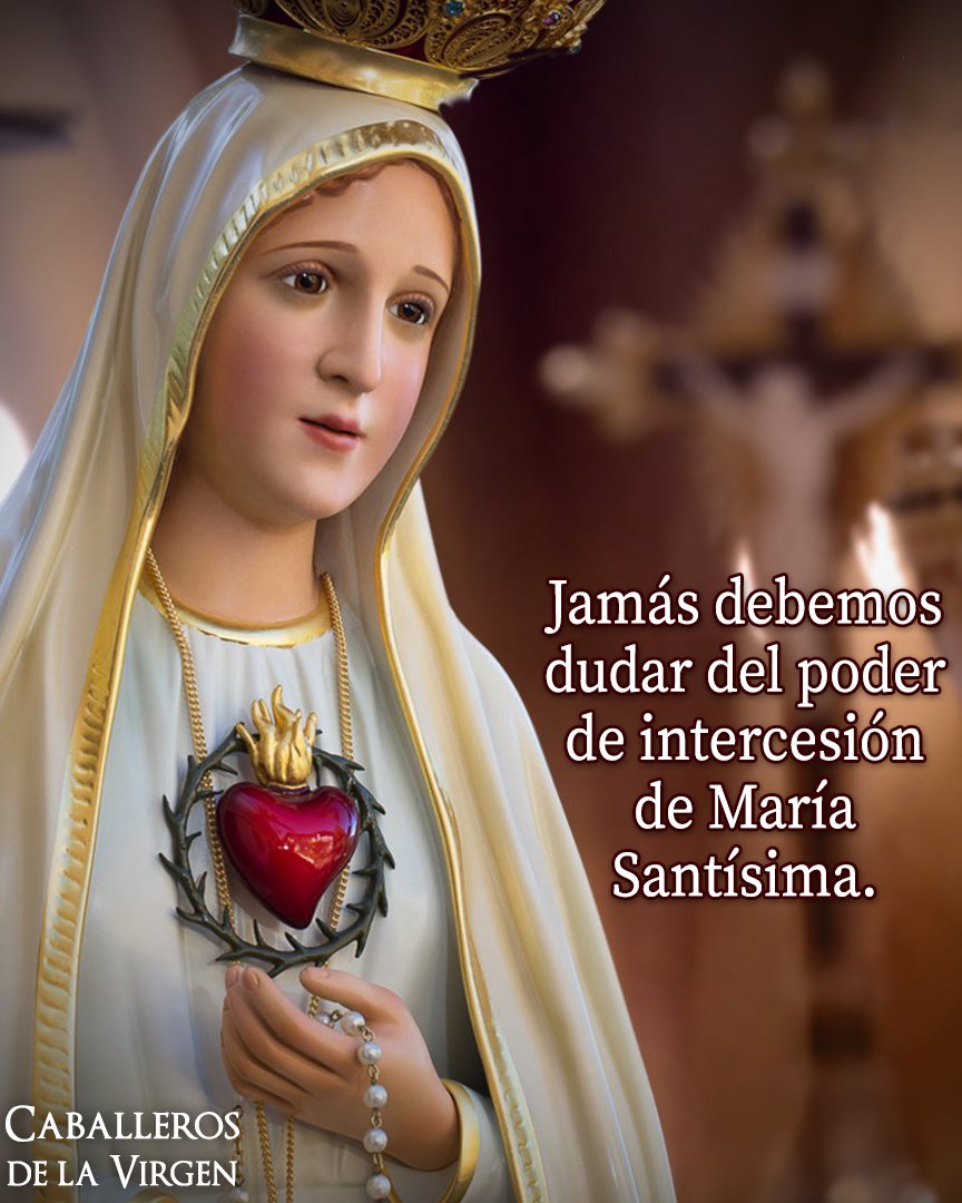 Caballeros de la Virgen tweet media