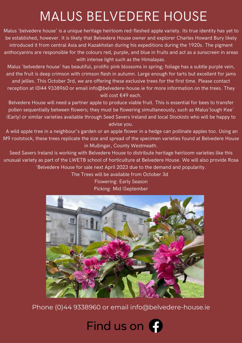 #Belvedere in collaboration with @LWETBFET have the Heritage Heirloom Variety Malus ‘belvedere house’ apple trees for sale. See poster for more info. First come first served. Contact on info@belvedere-house.ie or 0449338960 only to reserve #heritagetrees #belvederehouseappletree
