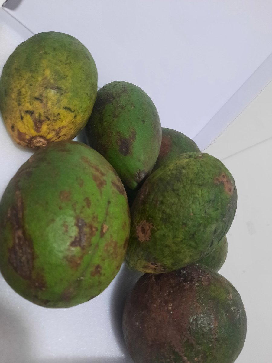 nayturefoods's tweet photo. Hey peeps..Osi fruits to manage blood sugar levels...
E:nayturfoods@gmail.com
#BlackOwnedBusiness
#lowerbloodsugar
#osu #abere #health #UK #Birmingham #Manchester #Liverpool https://t.co/53nME4GY0o