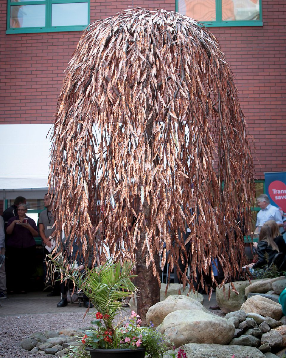 WaltonCentre's tweet photo. This week is #OrganDonationWeek - each year we highlight those amazing people who become donors. Our Walton Willow sculpture celebrates this with beautiful leaves engraved with their names. How has organ donation impacted your life? #ODW22 https://t.co/p1JI2n2749