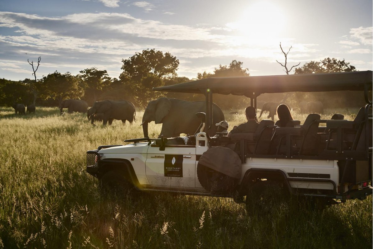 Enjoy a #GameDrive on #ChobeNationalPark, the second largest national park in #Botswana, where some 80,000 #Elephants roam.

📸 #SanctuaryChobeChilweroLodge @sanctuaryretreats

#Vayenitravel #AfricaTravel  #luxurytravel #dmc #findyoursanctuary #ThisIsAfrica #Africa #Botswana