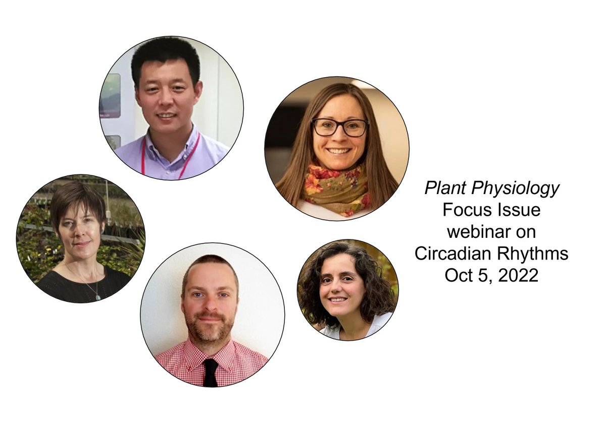 Plant Physiology tweet media