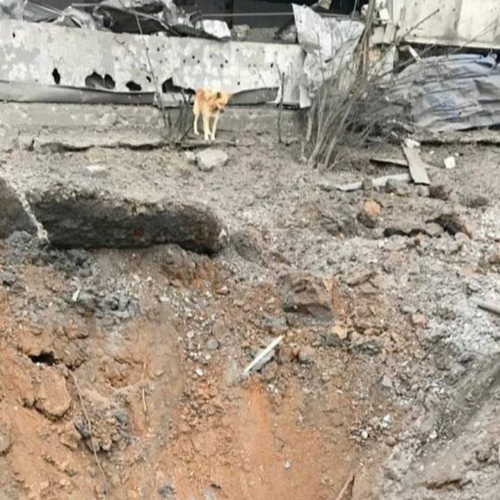 volstetsko's tweet photo. Russia shelled #Mykolaiv last night.
#ATACMSForUkraine 

#RussiaIsATerroristState #BanRussianTourists https://t.co/0nHiYZ1yfz