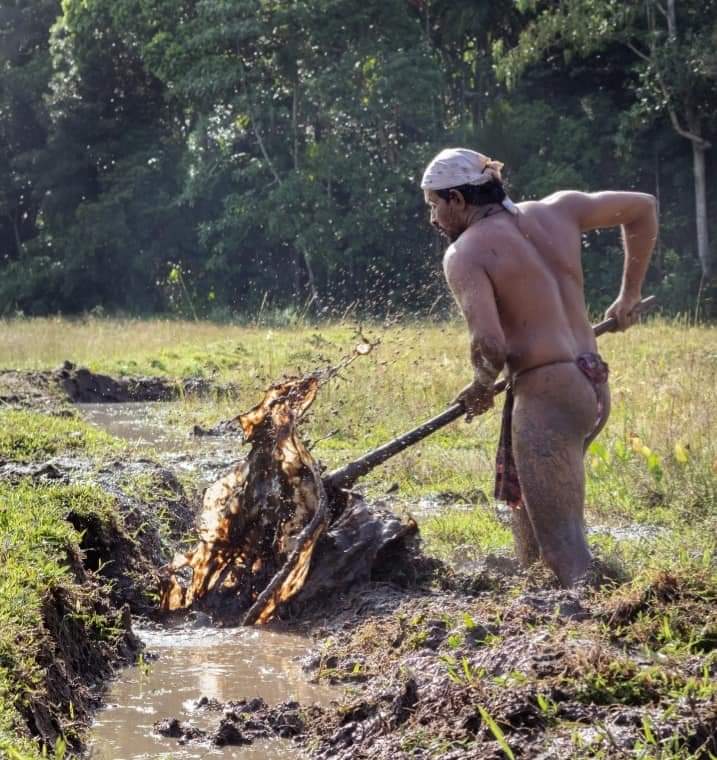 ppraj1's tweet photo. Hard work day today https://t.co/RFg1xXTLHB