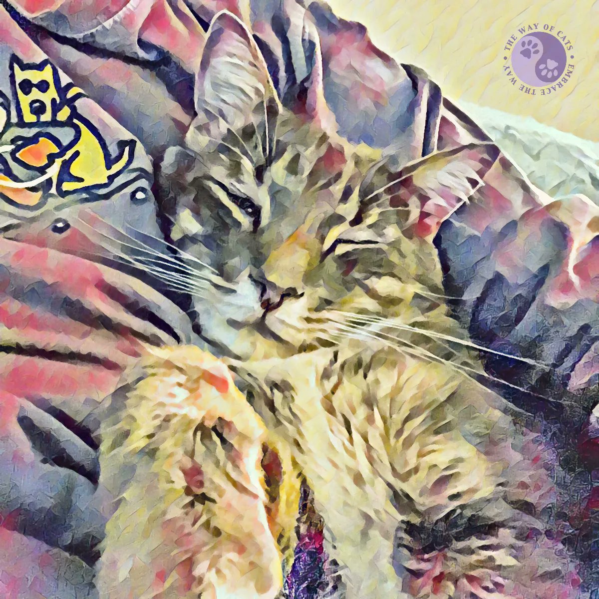 WayofCats's tweet image. The Stuffed Animal Misconception hurts us. - Love at Way of Cats buff.ly/2PwguBE

Serious drawback to them looking so adorably furry and cuddly and squeezable.
#CatsOfTwitter #CatAppreciators #CatMythbusting #CatHearts