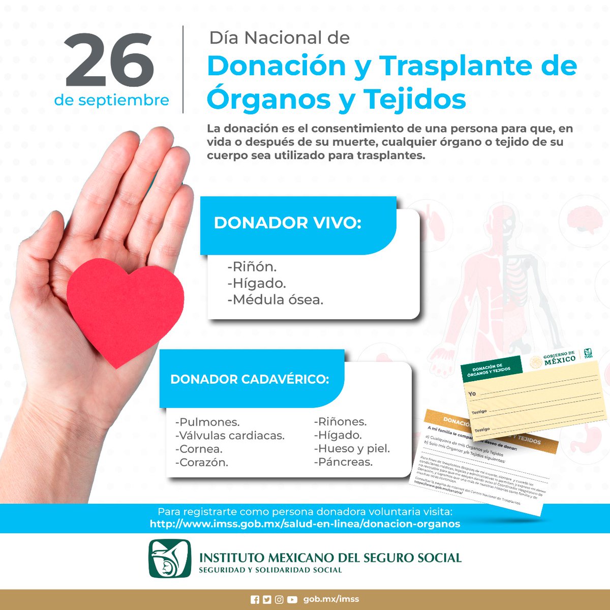 IMSSedomexote's tweet photo. 📌  Hoy se conmemora el Día Nacional de #Donación y #Trasplante de Órganos y Tejidos. 

#VidaDespuésDeLaVida https://t.co/niOl4nBgcV