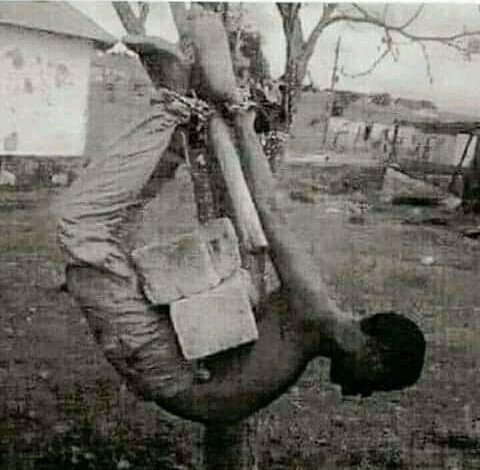 Never Forget what they did to our African ancestors. A history written in blood cannot be unwritten by lies written in ink.