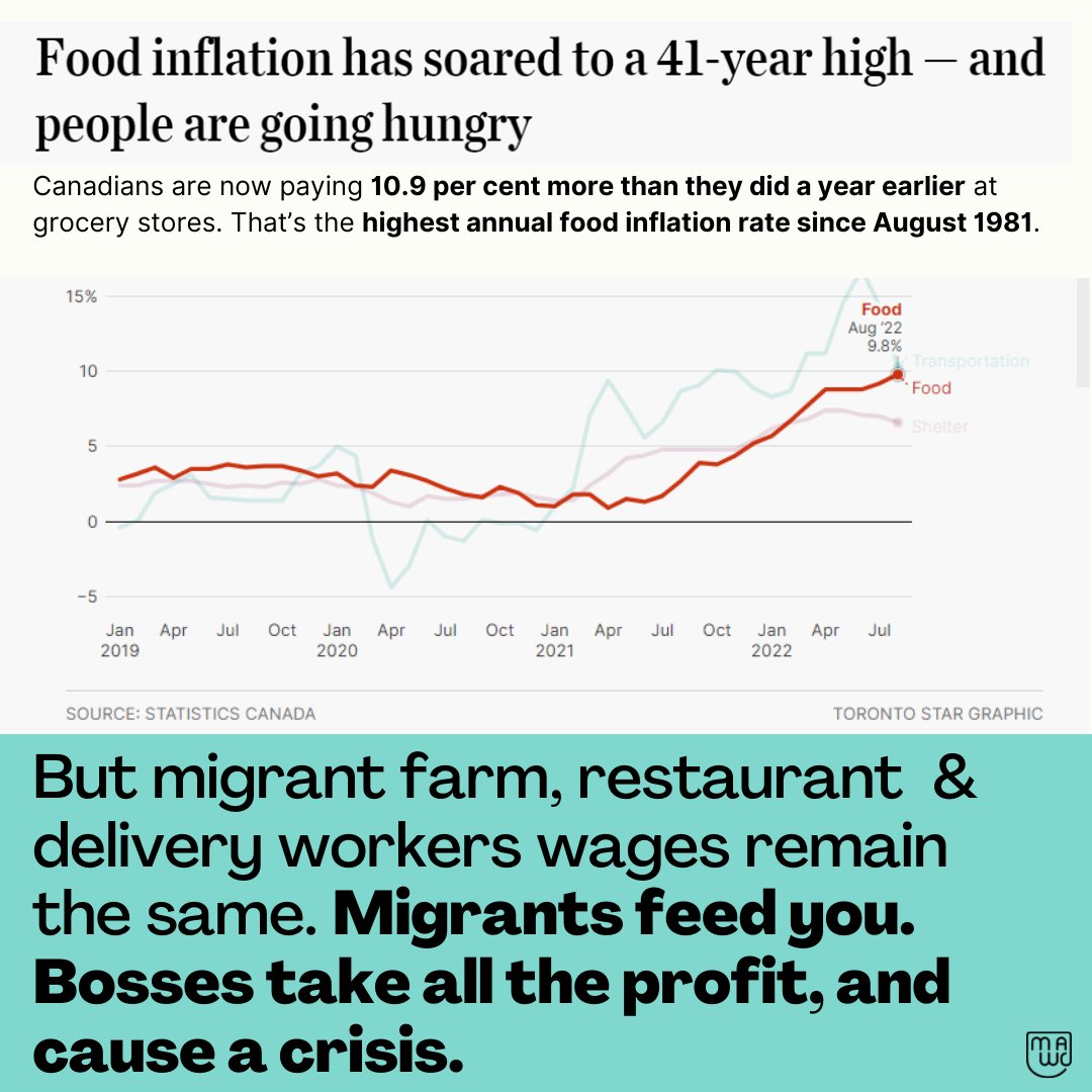 MWACCanada's tweet photo. You are paying 10.9% more for food at the grocery store than you did a year ago. But migrants who feed you aren't seeing any of the profit. Remember this next time they say #StatusforAll or higher wages for workers will result in higher prices. https://t.co/eOYV093dfe