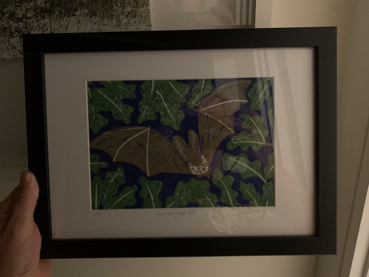 Sadly I didn’t win any of the fab #NatBatConf raffle prizes but I did win a #SilentAuction for this gorgeous print by my @_BCT_ colleague Jan Collins 🦇❤️🦇