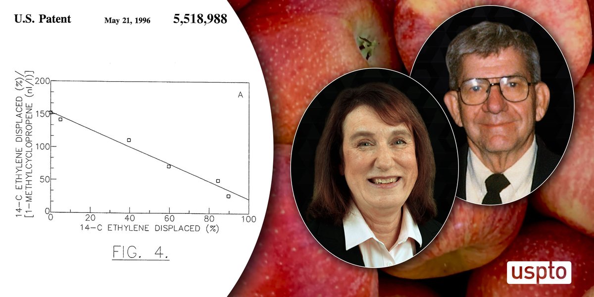 It’s apple picking season! @InventorsHOF inductees Sylvia Blankenship and Edward Sisler invented 1- MCP, a compound that keeps produce fresh for longer, meaning apples harvested now can still be crisp on grocery store shelves months later. Learn more: bit.ly/3z7lYHj