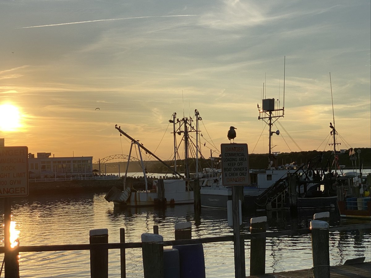 FishAlliance's tweet photo. Gorgeous sunset in Sandwich!
#fishalliance #capecod #workingwaterfronts #commercialfishing https://t.co/rA8IVGRFds