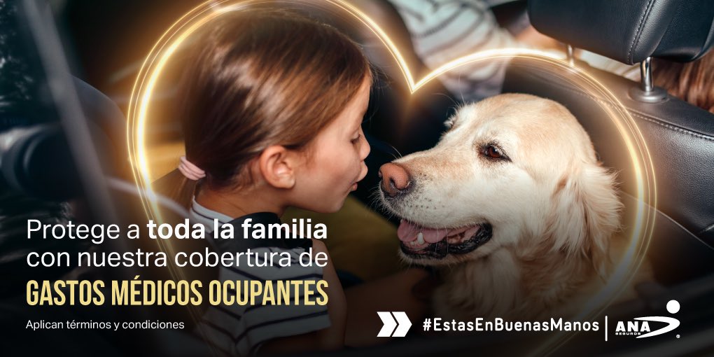ANASeguros's tweet photo. Después de conocer los beneficios de esta protección con tu #AgenteANA se hará una de tu favoritas. ⭐️ https://t.co/fRYu8CWmls