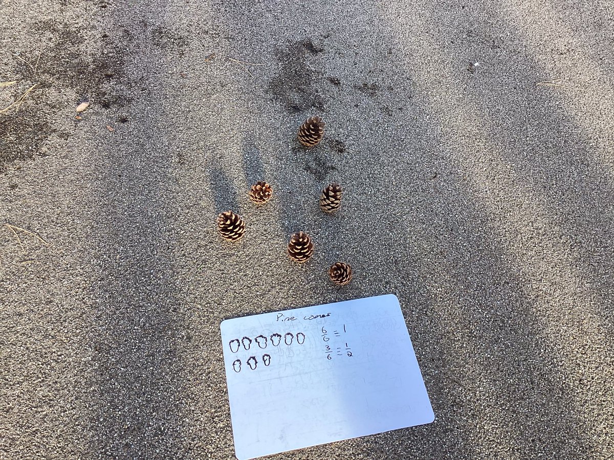 MerchiJuniors's tweet photo. Outdoor learning at its best today #mathslesson #MathsWeekScotland #mathsweek @MerchiAcademic https://t.co/rM3YPcVtkG