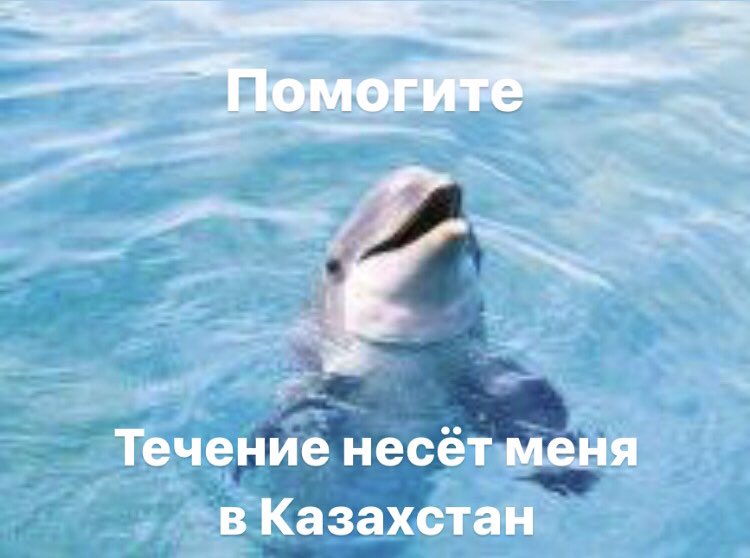 Все руские держатели скреп в эти дни