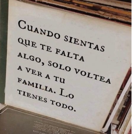 Matteo Bustamante tweet media