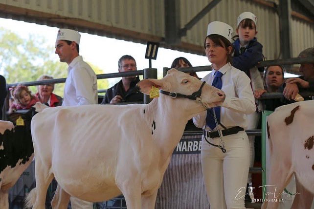 Jonesyyy_CAJ's tweet photo. Larchwood Fitz Flo (8 gens EX/VG) in action at the South Wales ABAB Qualifier Show yesterday!
Great to see 80 calves & handlers taking to the ringโฆthe future of Welsh dairy farming is in capable hands ๐ด๓ ง๓ ข๓ ท๓ ฌ๓ ณ๓ ฟ๐ฎ
#shewhodaresfarms #lovecows #futureherd #genetics #wearewelshfarming https://t.co/semcFY26CJ