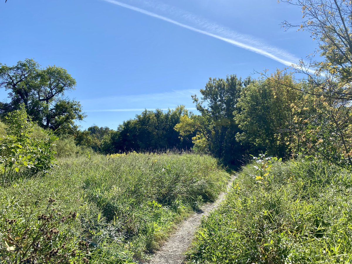 Can’t complain at this afternoon’s view at the office. 🍂

#LoveMyJob #FargoParks #ILoveFargo