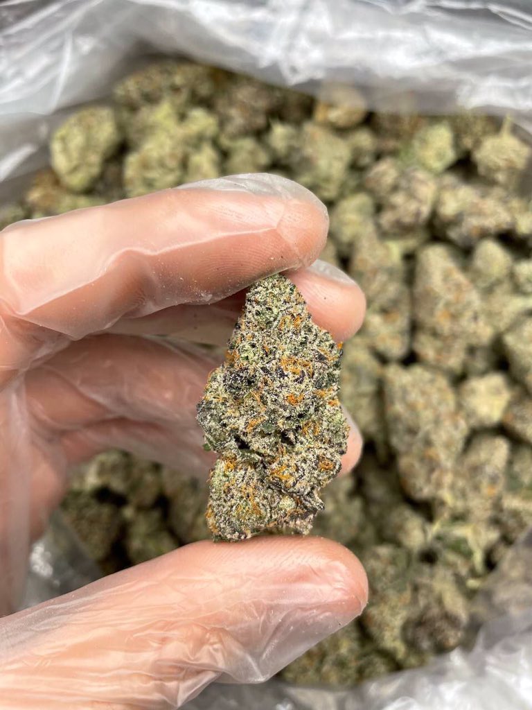 stunner14's tweet photo. #ukweed #420ireland #cannabis #cannabiscommunity #dank #york #thc #uk #weedporn #ukcannabiscommunity #ukhash #ukbud #londonweed #yorkweed #dankmemes #dankvapecarts #Dankvapes #cannabiscanada #weedstagram420 #Illinois  #arkansas #arizona #extracts https://t.co/z59XY50NJs