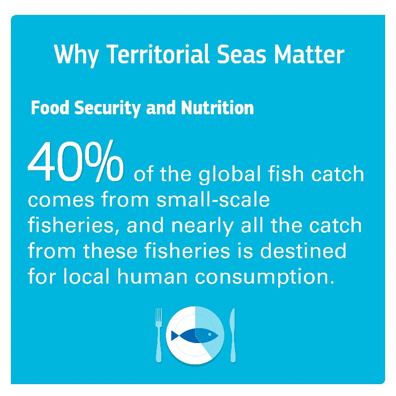 Rare_org's tweet photo. Small-scale, coastal fisheries are critical contributors to global #FoodSecurity. 

Learn more about safeguarding the waters where many fishers make their catch ahead of #WorldFoodDay.