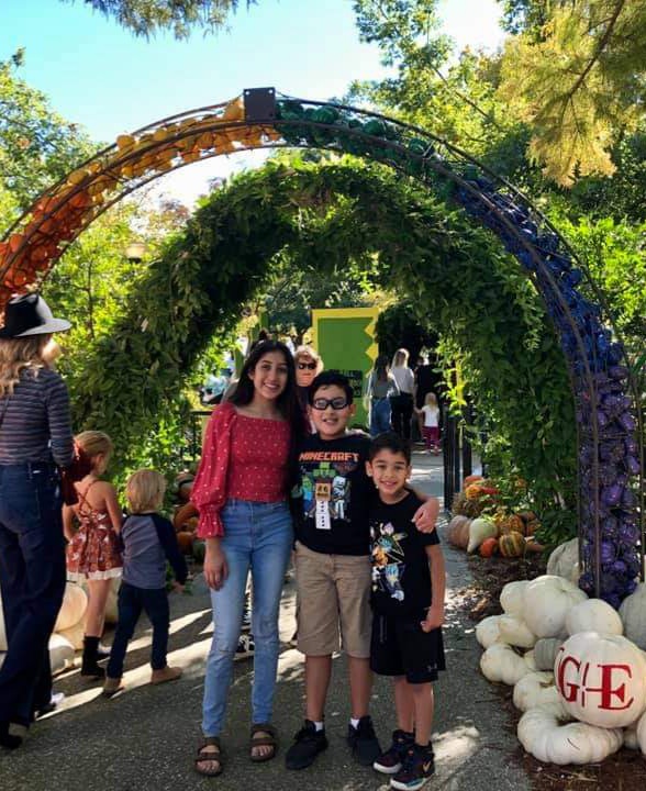 𝐌𝐲𝐫𝐢𝐚𝐝 𝐁𝐨𝐭𝐚𝐧𝐢𝐜𝐚𝐥 𝐆𝐚𝐫𝐝𝐞𝐧𝐬 tweet media