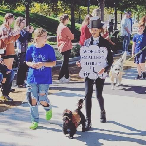 𝐌𝐲𝐫𝐢𝐚𝐝 𝐁𝐨𝐭𝐚𝐧𝐢𝐜𝐚𝐥 𝐆𝐚𝐫𝐝𝐞𝐧𝐬 tweet media