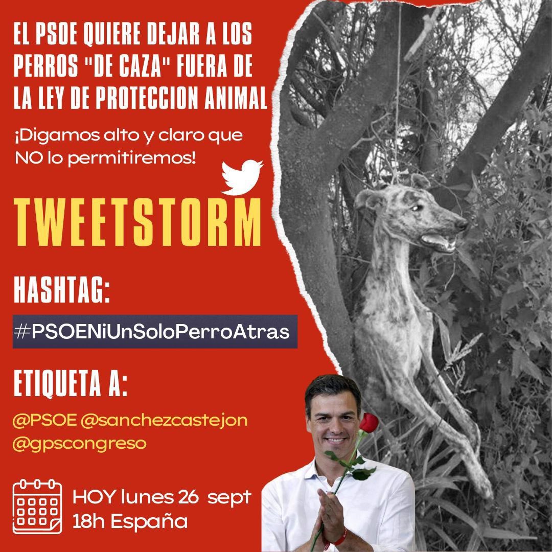 ⚠️⚠️NO UTILIZAR EL HASHTAG ANTES DE LAS 18:00h⚠️⚠️
🗓️HOY Lunes 26/9
⏰ 18h ¡¡POR FAVOR NO ANTES!!tuitearemos sin parar con el hashtag de la imagen
💔🐾 Miles de perros "de caza" te necesitan
👊EXIGE AL PSOE QUE RETIRE LA ENMIENDA
🏷️ Etiqueta a: <a href="/PSOE/">PSOE</a> <a href="/sanchezcastejon/">Pedro Sánchez</a> <a href="/gpscongreso/">PSOE Congreso</a>