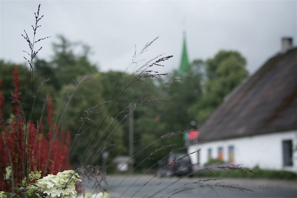 vkoralis's tweet photo. CAUR PUĶĒM. ZLĒKAS
#caurpuķēm #cikls #dabasbides #kurzeme #mācītājaceļos https://t.co/BmnVjsGGtV