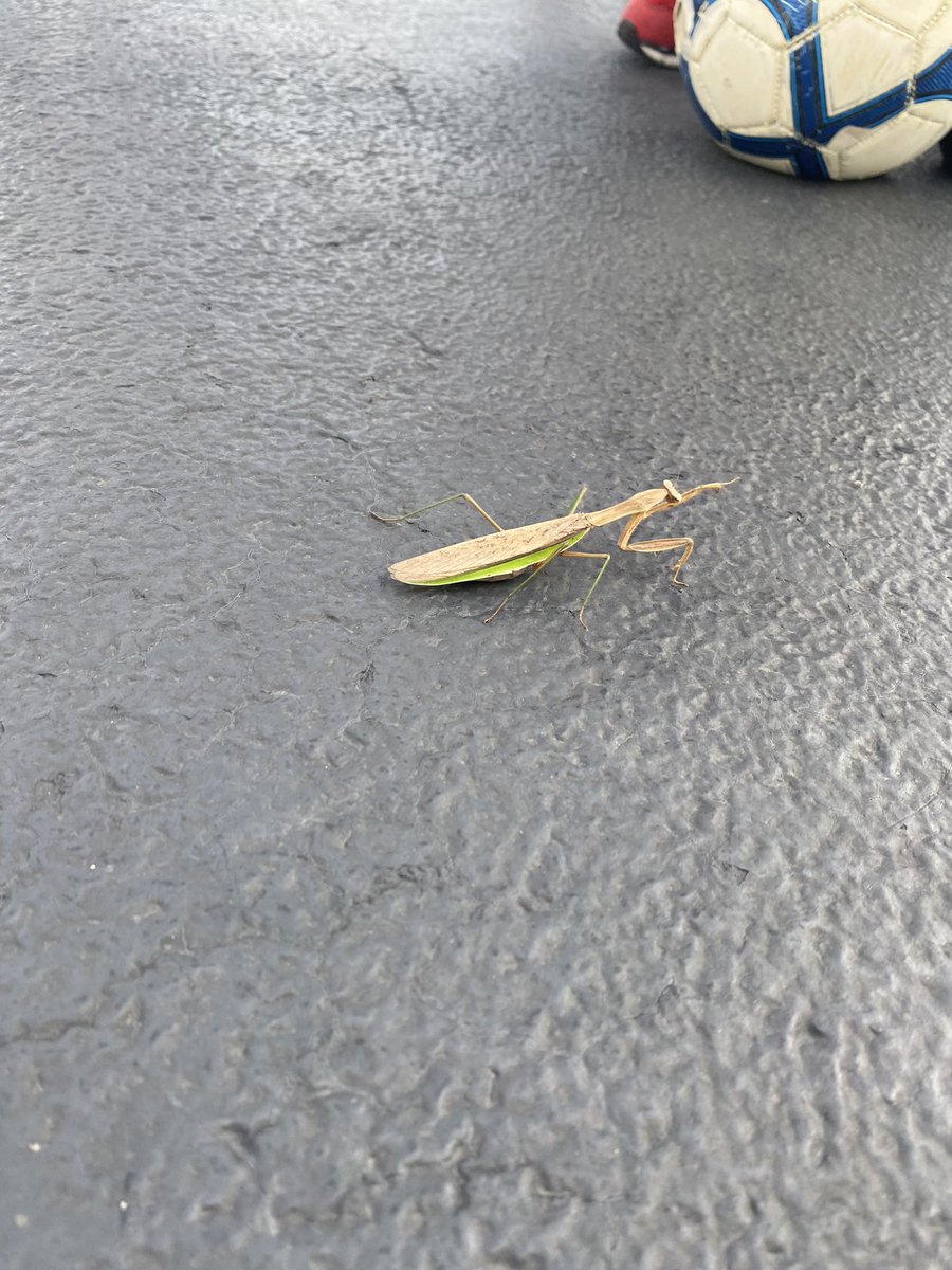 Tara Capouch tweet media