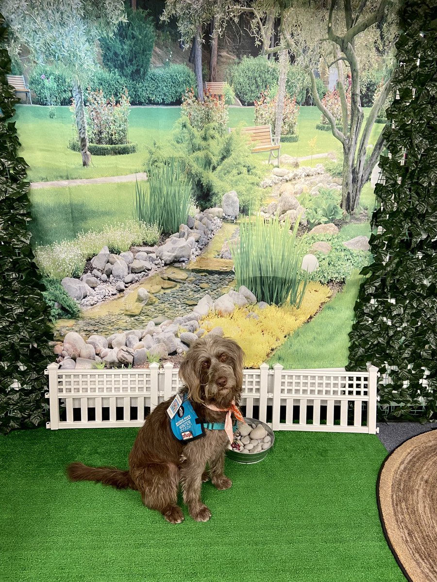 Winter loves being with <a href="/BCE_BlueJays/">BrushyCreekElementary</a> in their reading garden! Thank you for letting us hang out with you, <a href="/bcelibrary/">Brushy Creek El Library</a> 🥰