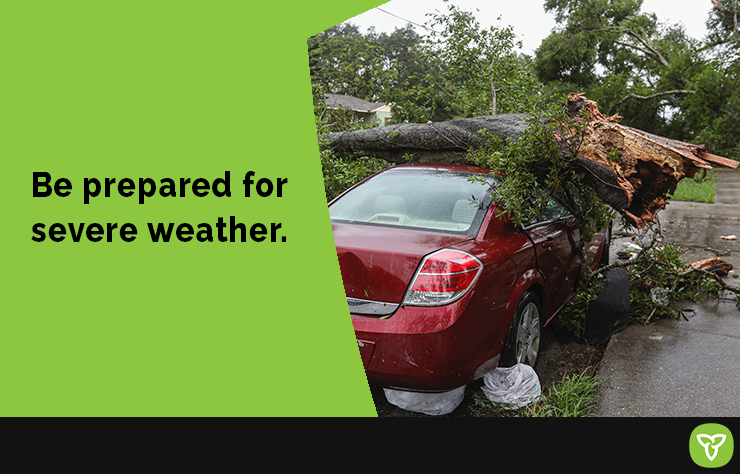 Extreme weather can cause severe injury and damage to property. #BePrepared for strong winds by removing dead or rotting trees and branches that could fall! 🌲⚠️ Learn more: ontario.ca/thunderstorms