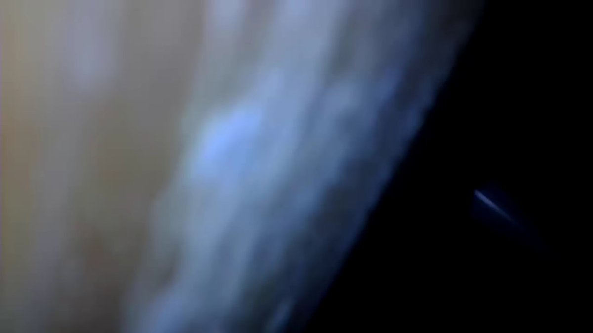 This is the last image the superrod ferret saw RIP

Defeats the object of having one when I had to cut a disc out to rescue it 🙈🤣