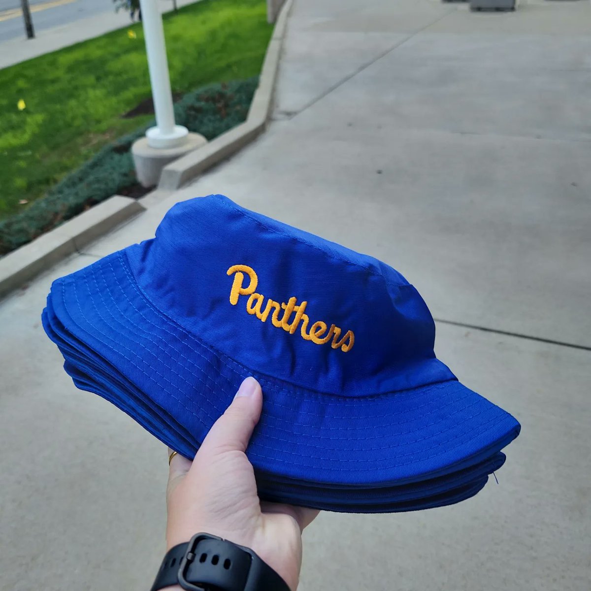 The Panther Pitt tweet media