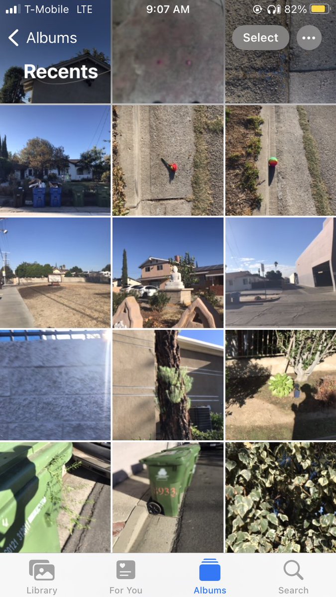 Maddantics (@pedxing66botley) on Twitter photo 