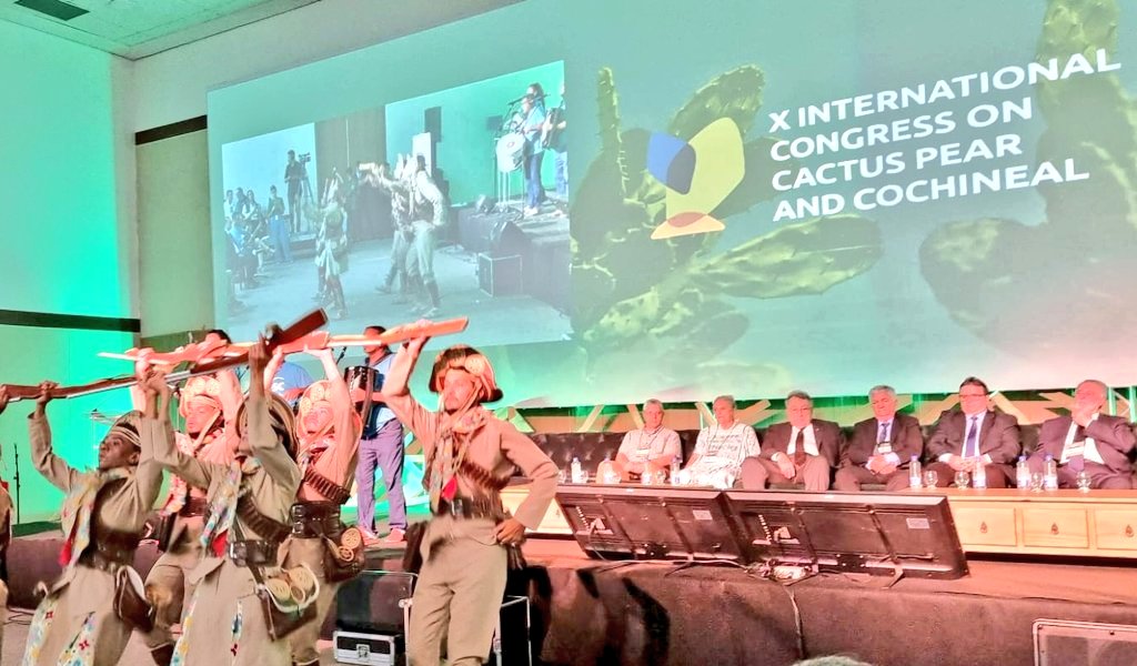 A Embaixadora Laura Esquivel participou hoje da Inauguração do "X Congresso Internacional de Palma e de Cochonilha", em João Pessoa, Paraíba 🇧🇷. Ela destacou a importância da palma (nopal) na saúde, na segurança alimentar e na sustentabilidade.