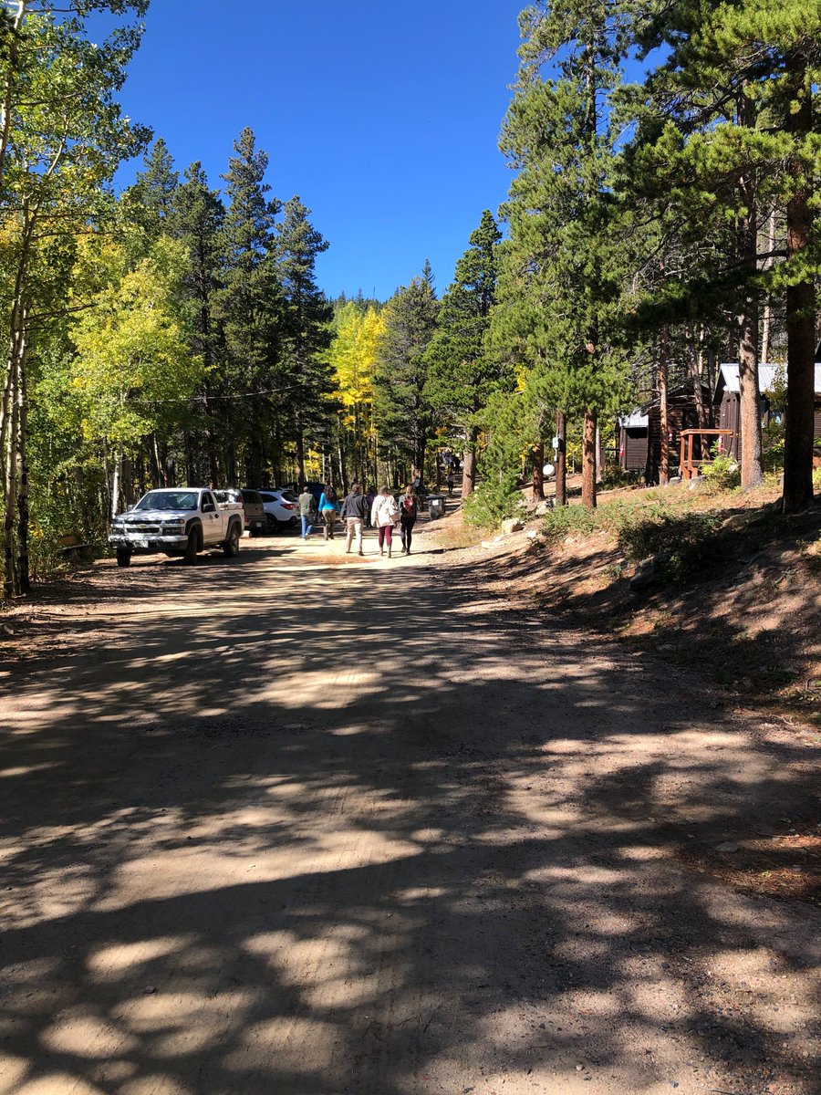 Great weekend spent @CUBoulder Mountain Research Station for GREEBS - so fun to hear about all the amazing ecology/evolutionary biology research in the Rocky Mountain region. And thanks to everyone who listened to me talk about our Suillus-heavy metal tolerance project!