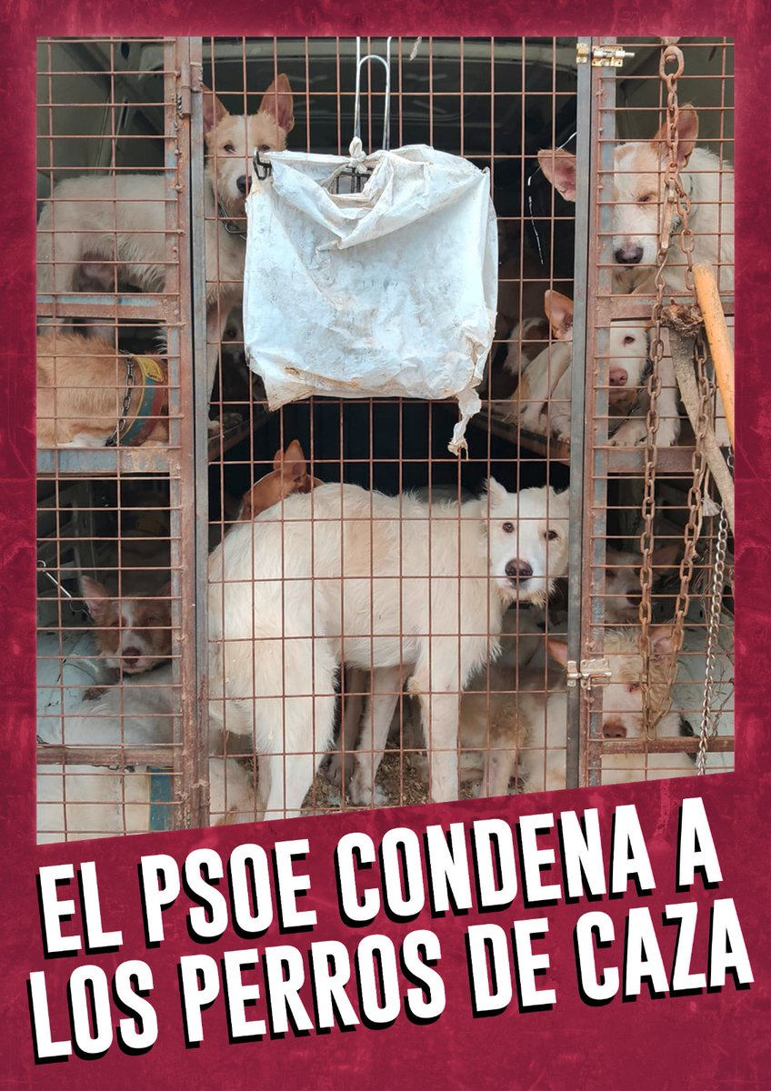 Proaweb's tweet photo. Por una ley justa, sin distinciones, sin animales excluidos. 
#PSOENiUnSoloPerroAtras @PSOE @sanchezcastejon @gpscongreso https://t.co/4vaVhREuC2