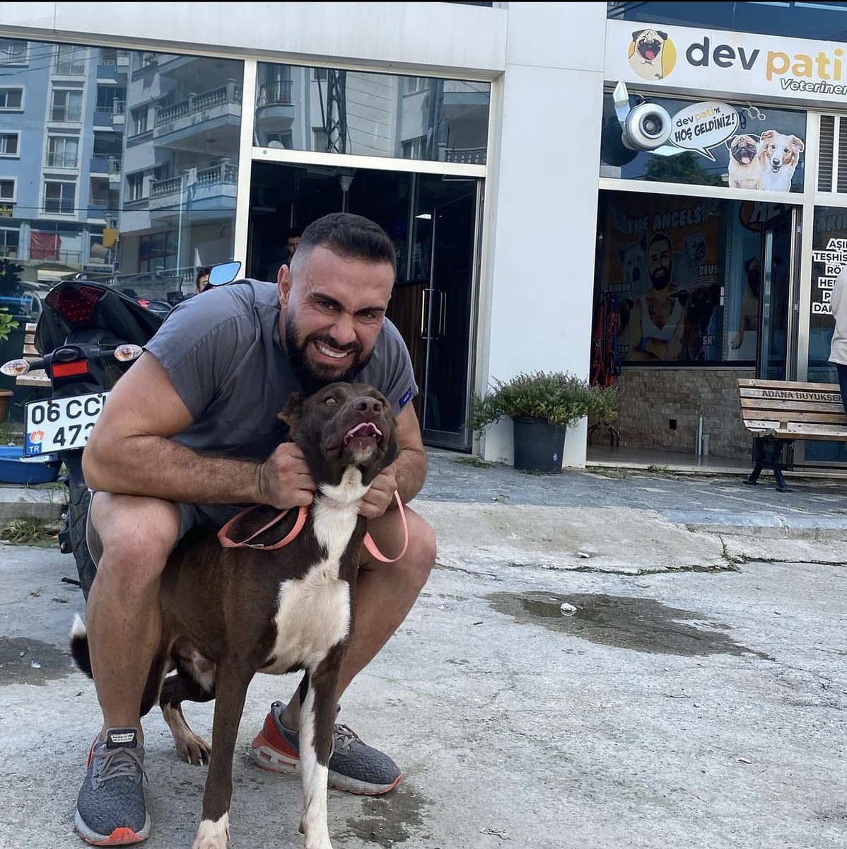 devnazofficial's tweet photo. Bruce! #devpati #devnaz #devkorp #FYP #turkey #dog #dogs #animals #animal #bruce #kesfet #doglove https://t.co/i07i0REpqg