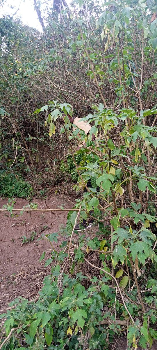 sometimes, nature forces us to live as healthy a lifestyle as we think... the management of natural resources is the key to sustainable developpement