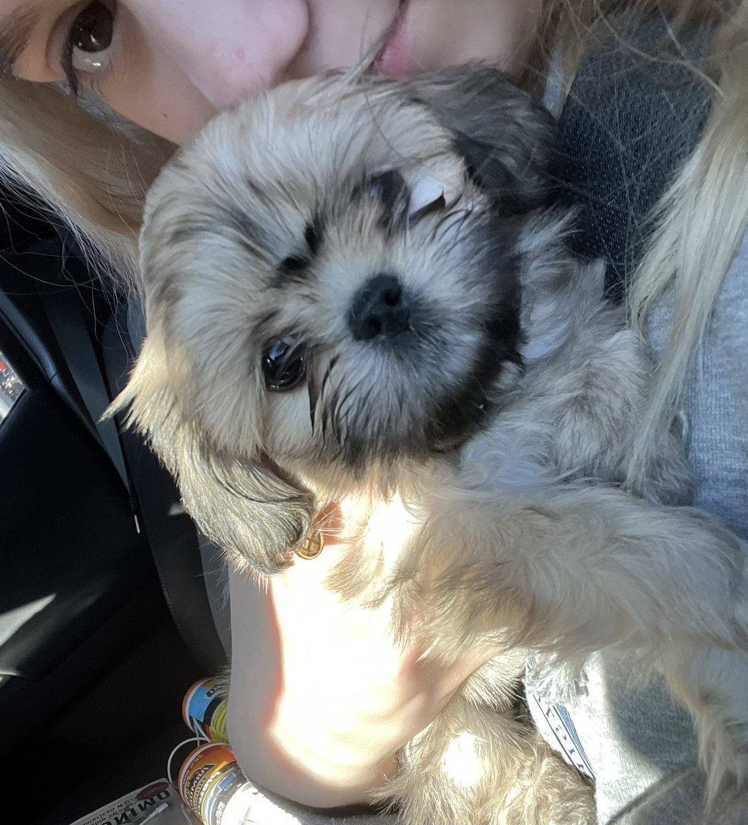 Meet Pebbles. My new golfing buddy 🐶❤️ #girlsgolf #newpuppy