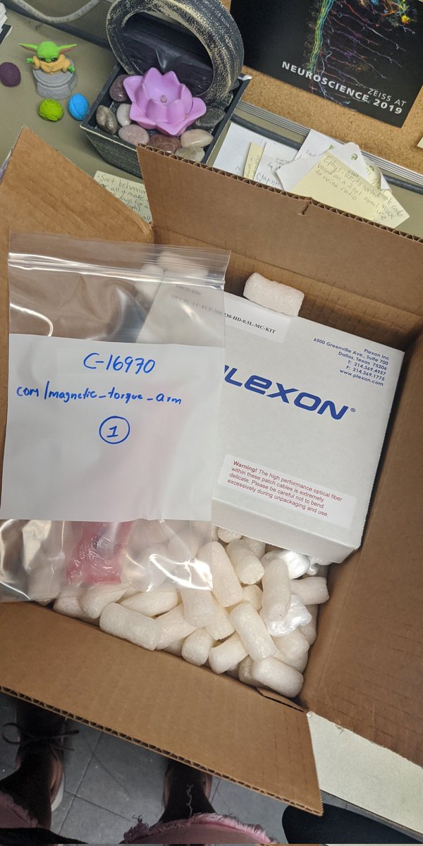 Dr. Anna Liley tweet media