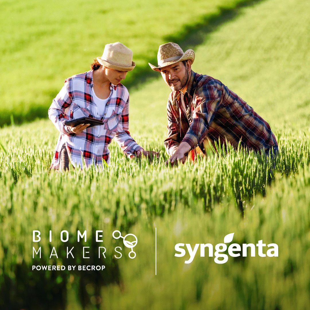 Biome Makers tweet media