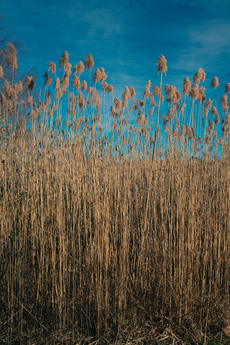 covxx's tweet photo. Shot on #canon #M50 https://t.co/dX7q5Ev9pa