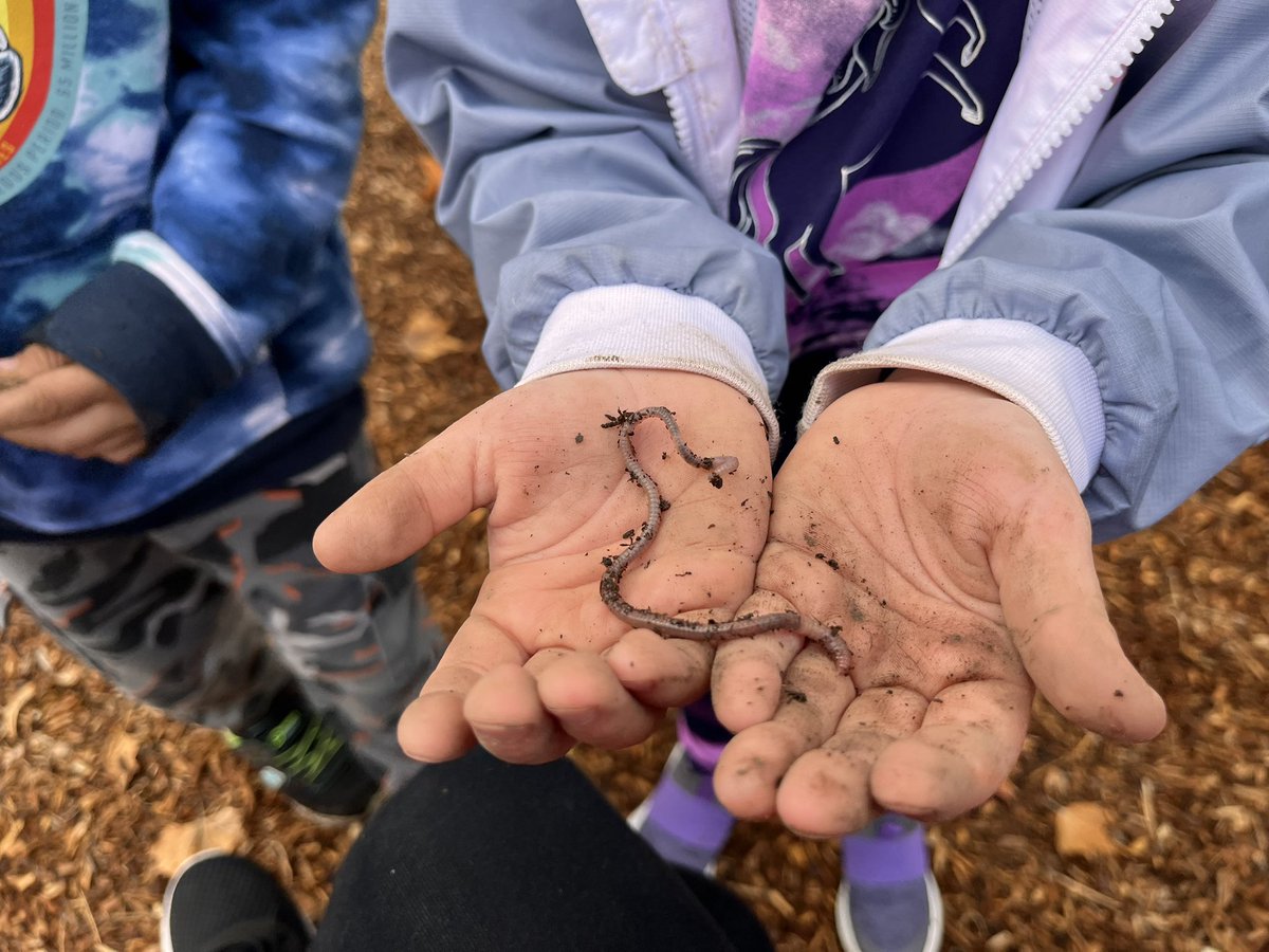 MVSpreschool's tweet photo. Today on the playground the kids dug for worms! We love exploring nature in preschool! 🪱 @atsdschools https://t.co/ZSxa3Ypiy9