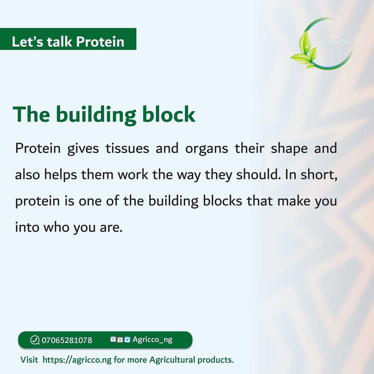 Regular consumption of protein-rich
food each day improved health and a
lower risk of disease.

Follow @AgriccoNG for more nutritional facts that are beneficial to your health

#healthylifestyle #healthyfood #agriccong #Asuuwhy #benefitsofprotein