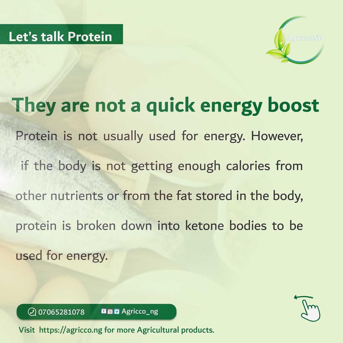AgriccoNG's tweet photo. Regular consumption of protein-rich
food each day improved health and a
lower risk of disease.
Follow @AgriccoNG for more nutritional facts that are beneficial to your health
#healthylifestyle #healthyfood #agriccong #Asuuwhy #benefitsofprotein https://t.co/npjIRJIIfM