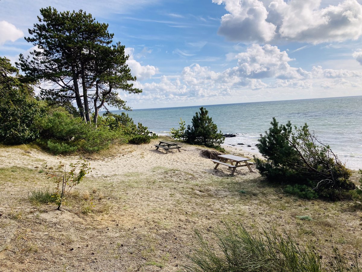 metabolady's tweet photo. 1st day of the #DDAPostdocSummit22 on Bornholm! After interesting talks on mental health &amp; diabetes, I went on an orientation run to explore the island. Do you see why it’s called the sunny island? Like for more pictures of my week at the #DanishDiabetesAcademy event! https://t.co/S2kByORwMo