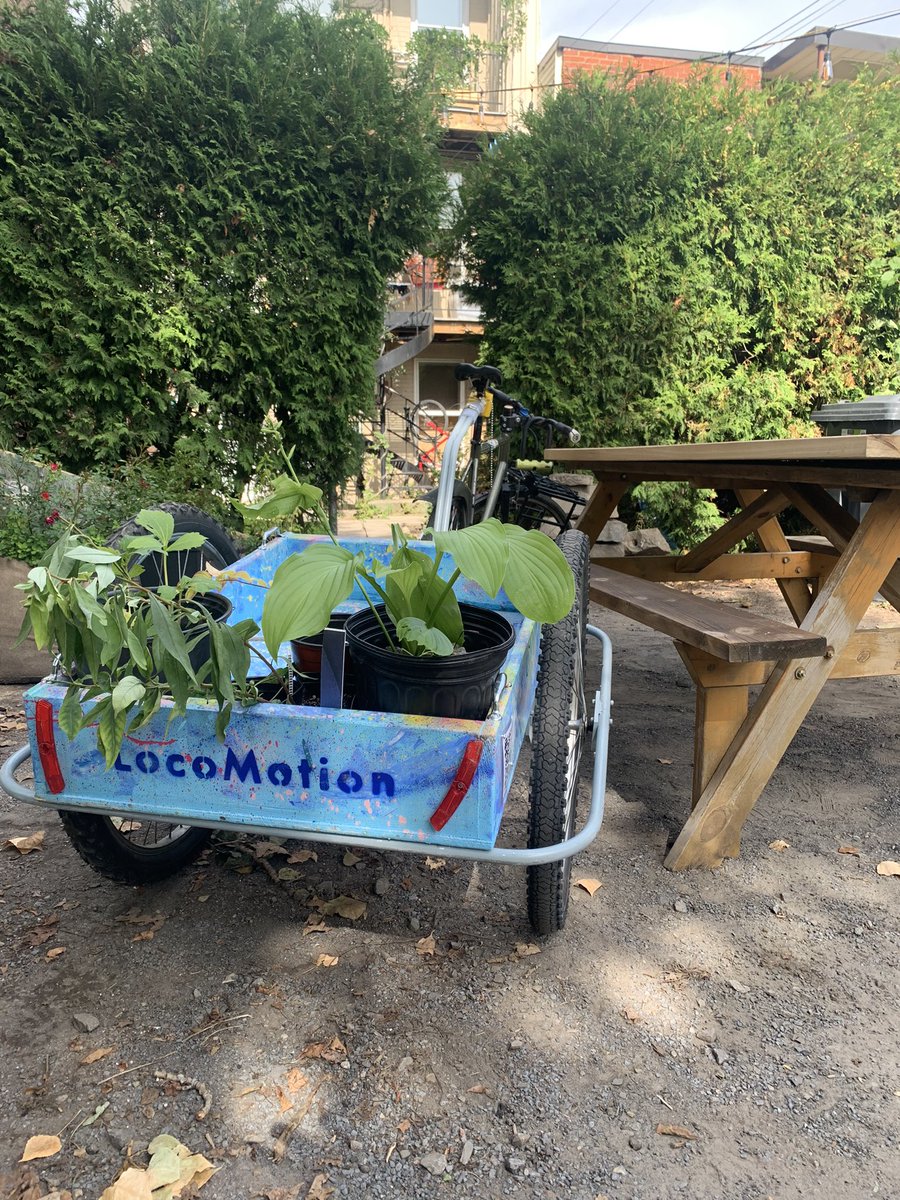 YannisChabane's tweet photo. Première vélo-remorque #Locomotion disponible en libre-service dans #Hochelaga 🚴‍♂️📦 mp pour plus de détails, c’est gratuit! https://t.co/TuaturNS3b